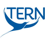 Tern logo